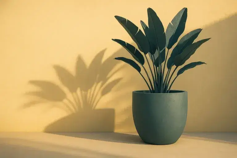 Pot de fleur xxl : matériaux, usages et plantes adaptées