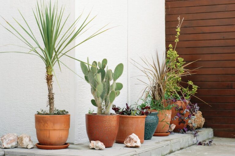 Tout savoir sur pot : usages, avantages et conseils pratiques